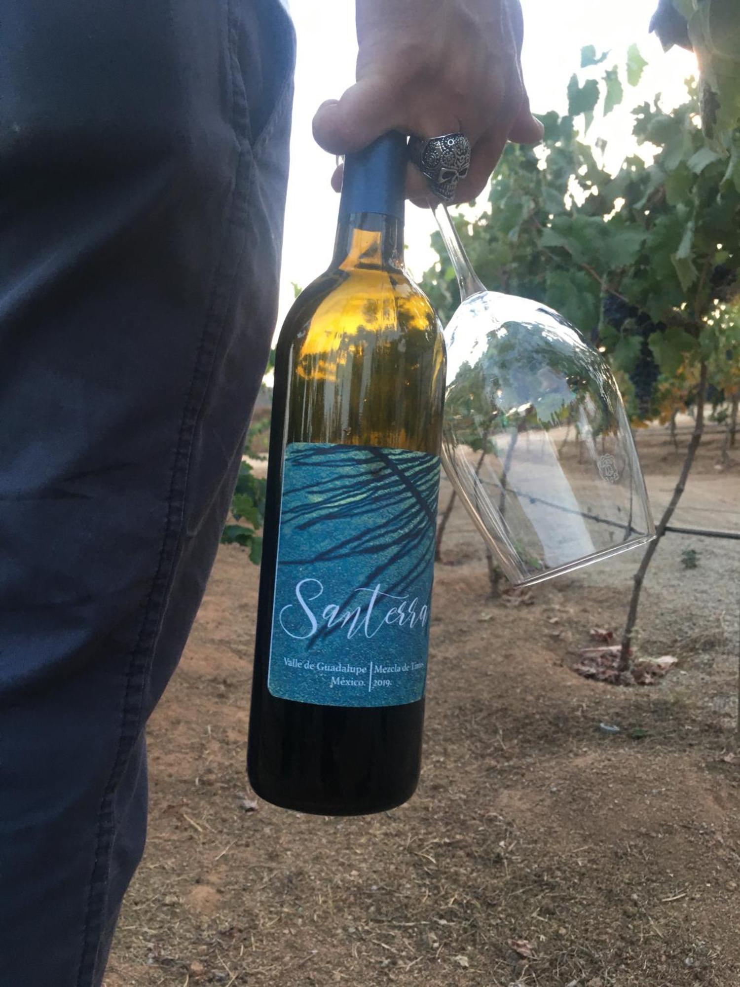 Santerra, Valle De Guadalupe Dış mekan fotoğraf