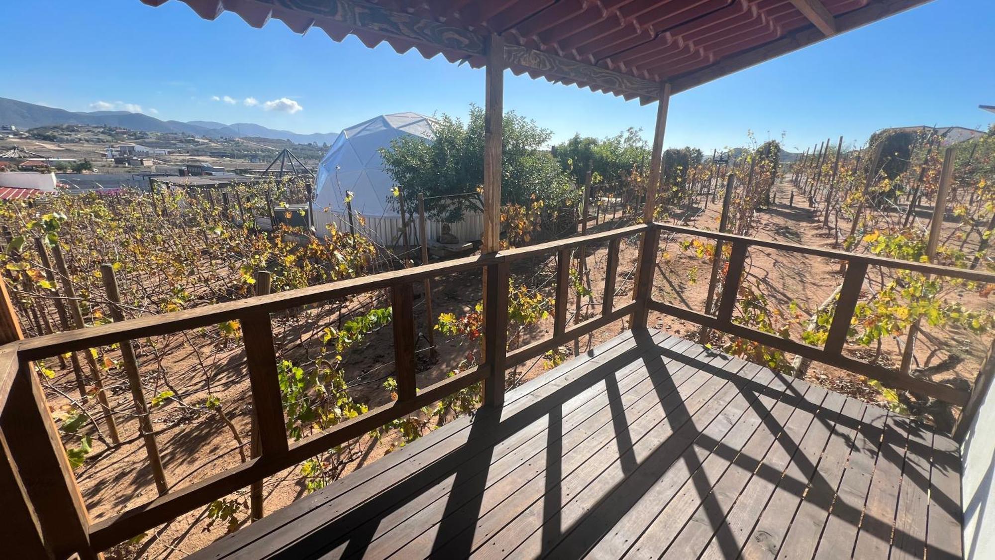Santerra, Valle De Guadalupe Dış mekan fotoğraf
