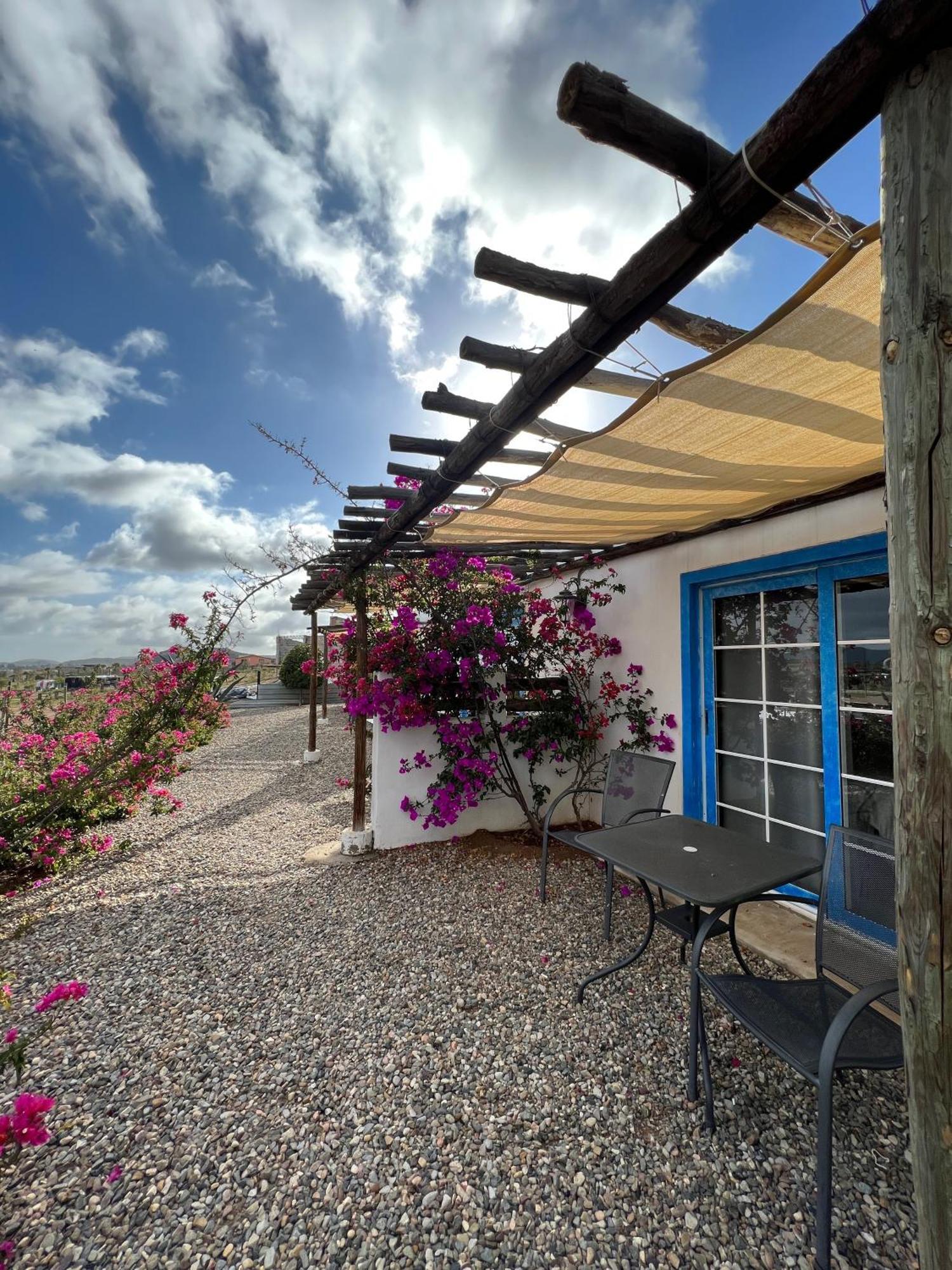 Santerra, Valle De Guadalupe Dış mekan fotoğraf