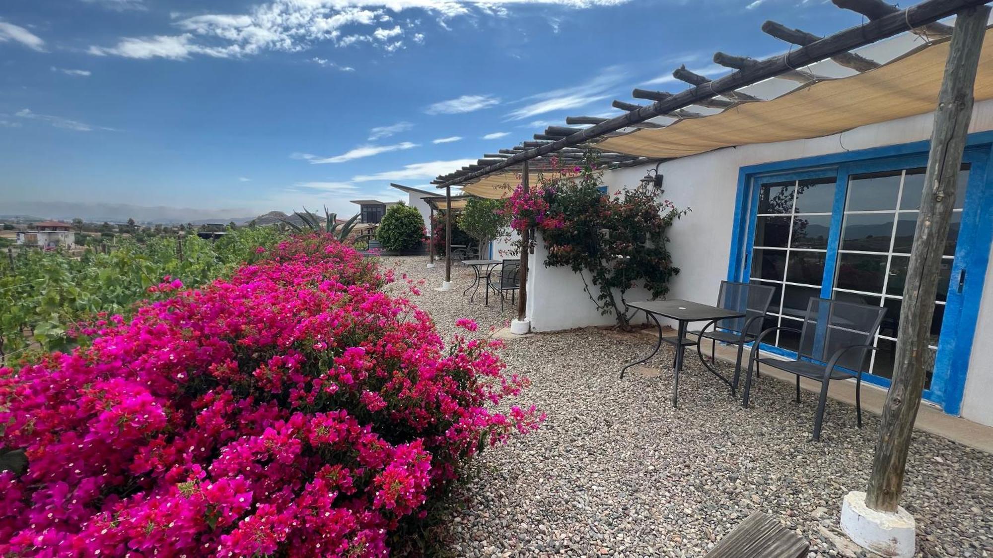 Santerra, Valle De Guadalupe Dış mekan fotoğraf