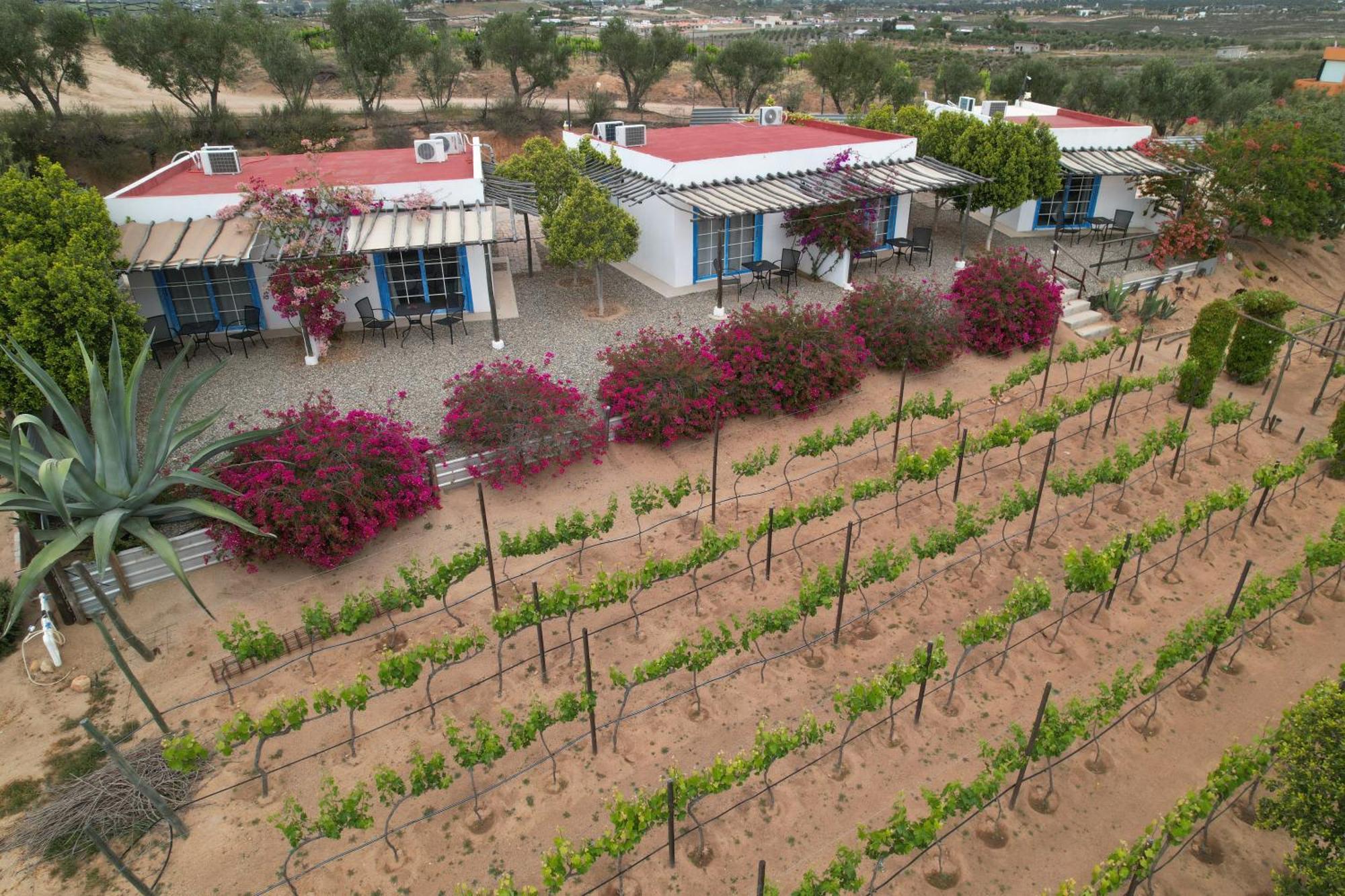Santerra, Valle De Guadalupe Dış mekan fotoğraf